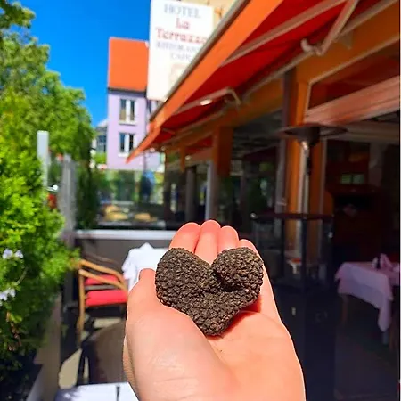 Hotel Ristorante La Terrazza 3*